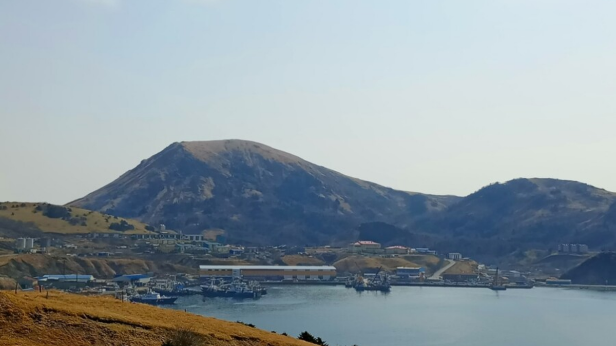 Личное фото автора