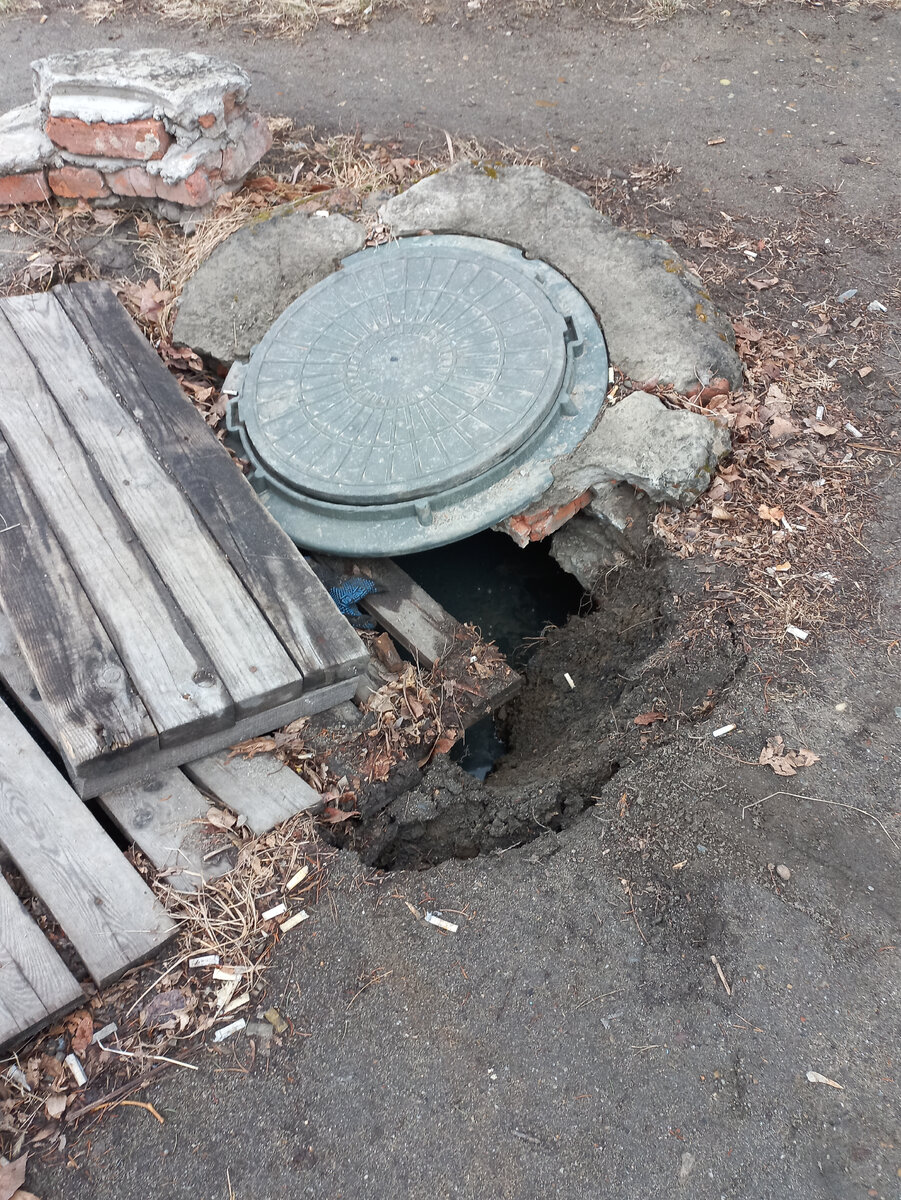 Фото сделано сегодня утром