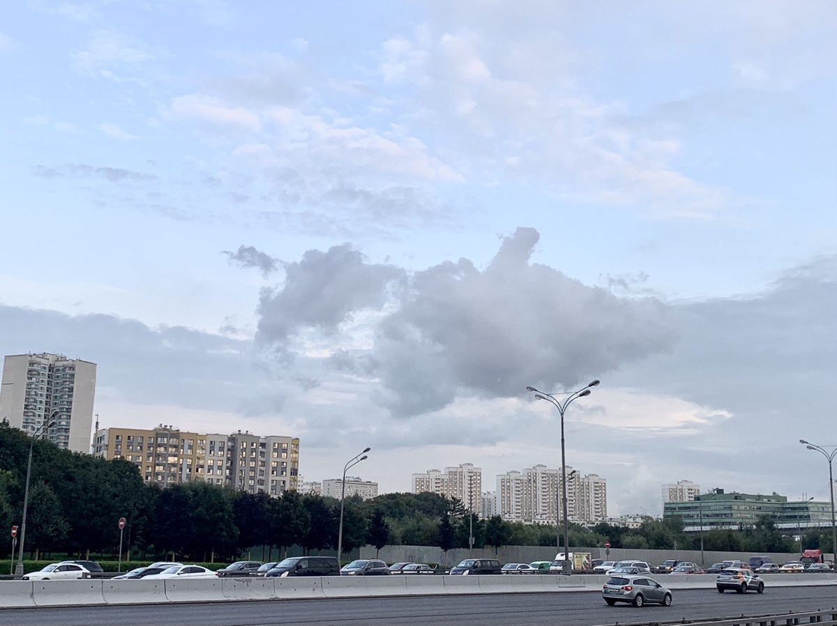 Фото Никиты Козлова, вид на участок со МКАД, август 2023 г.