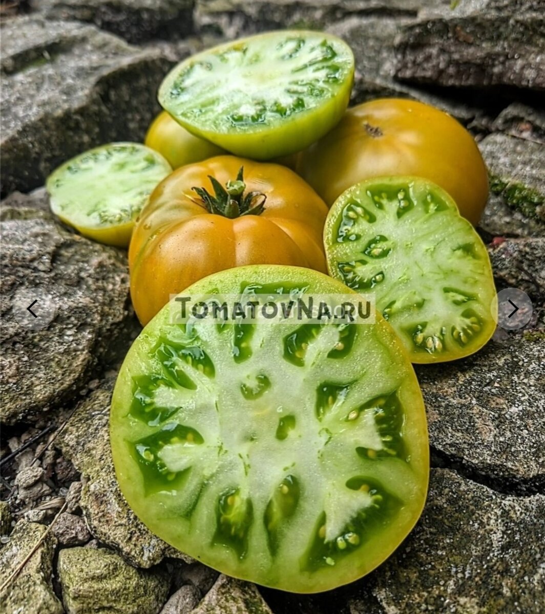Большой зелёный гном. Десертная сладость, очень нежная сочная мякоть. Урожайность на 4-ку.