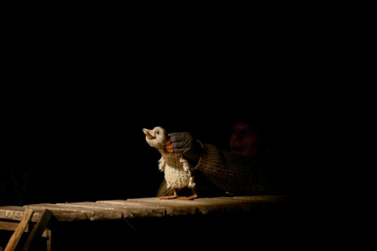    Спектакль «Гадкий утёнок» хоть и предназначен для детей, но в нём и взрослые увидят важные для себя вещи.