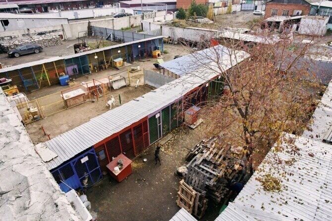 Фото приюта в разные времена года...