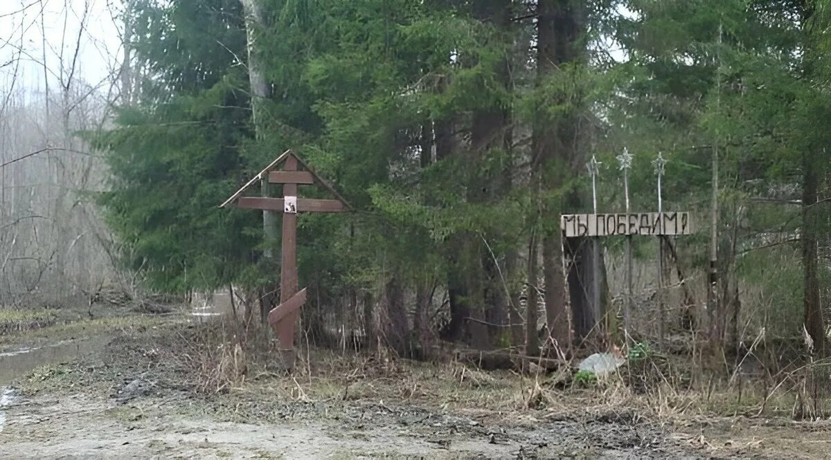 Из открытых источников