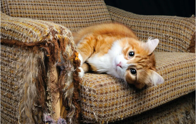 Источник: Яндекс картинки