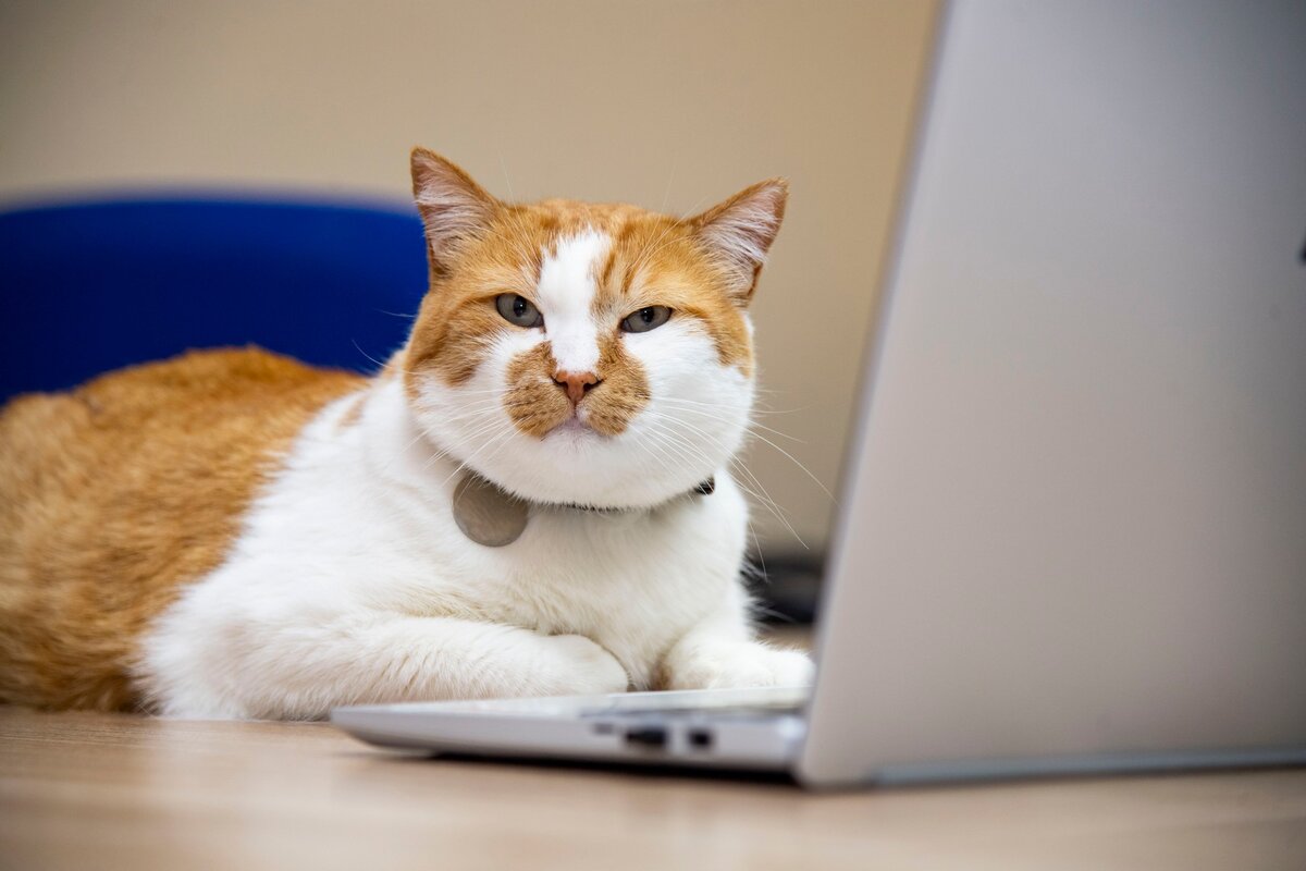 В день добрых дел делюсь с вами новой историей. Ждали?