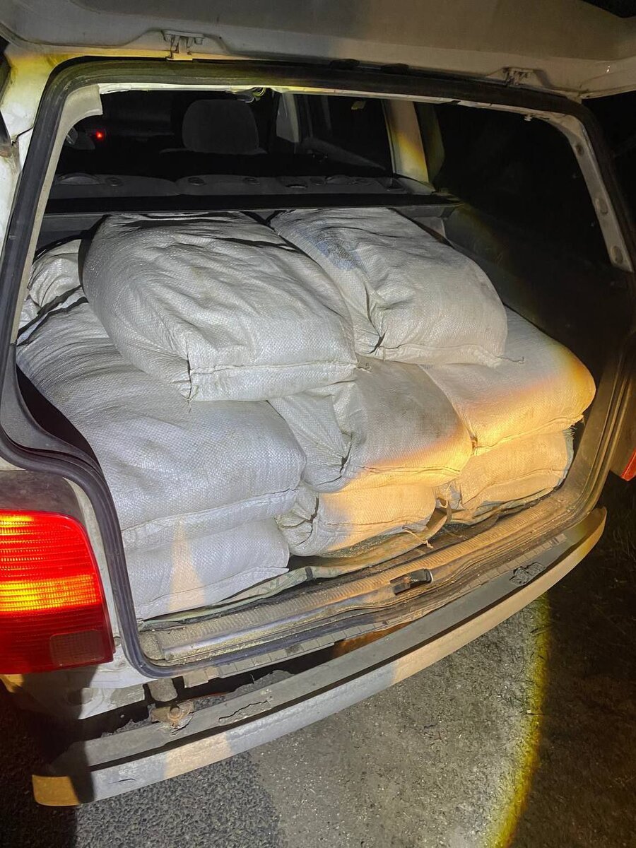 Еще и сторожа подставил: под Берестовицей задержали работника птичника ...