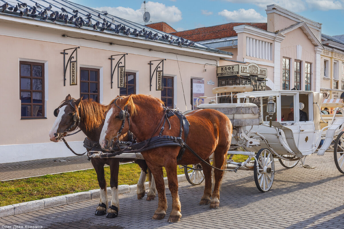Коломна, прогулки в Экипаже