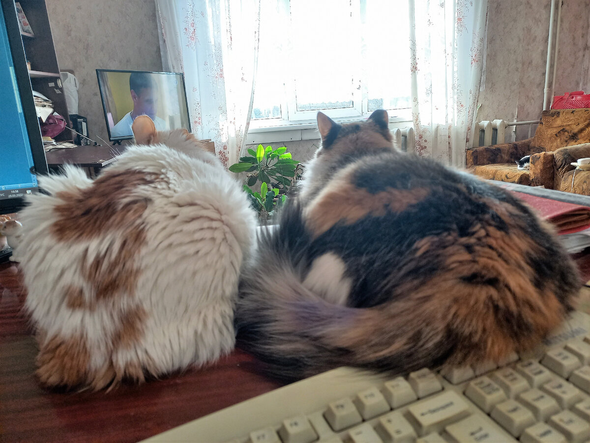 -2