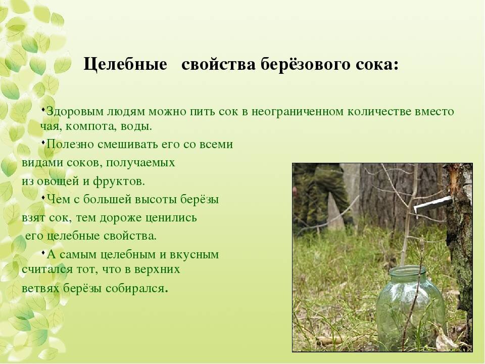 Источник фото: Яндекс Картинки