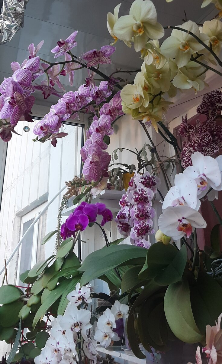 "Не смогла" подружиться)) 