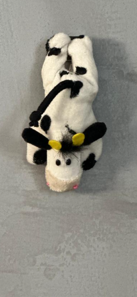 Фото автора. Корова ползет по стене вниз. Но она думает, что вверх. 