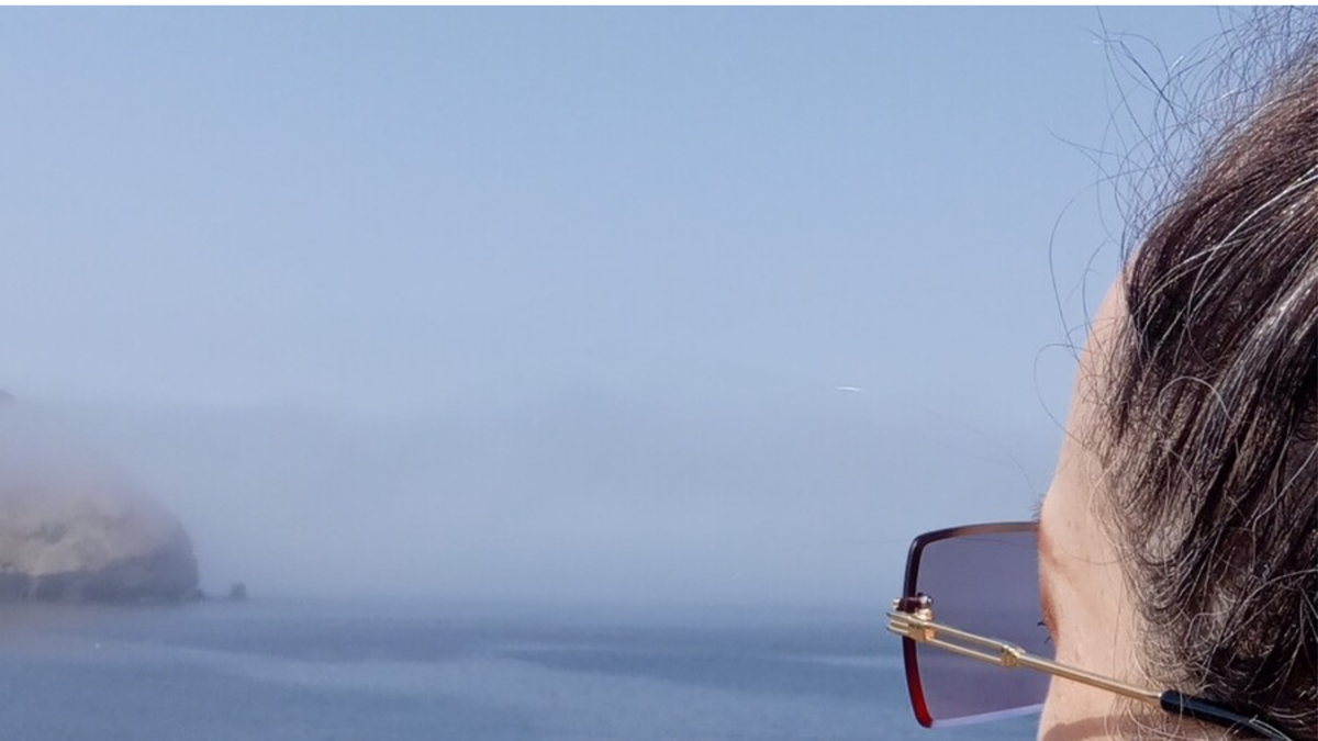 Личное фото автора