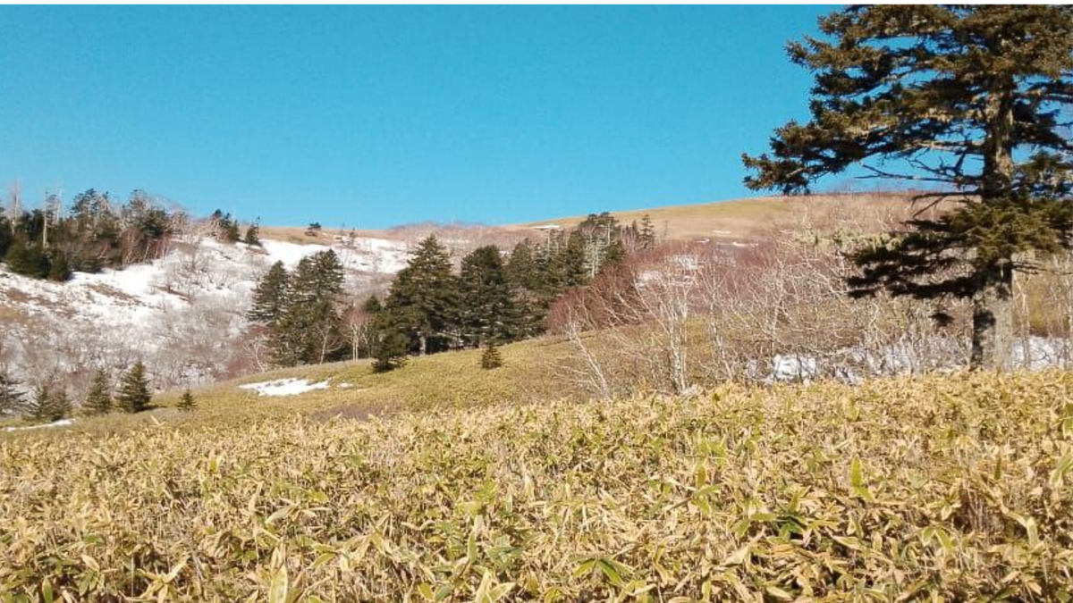 Личное фото автора