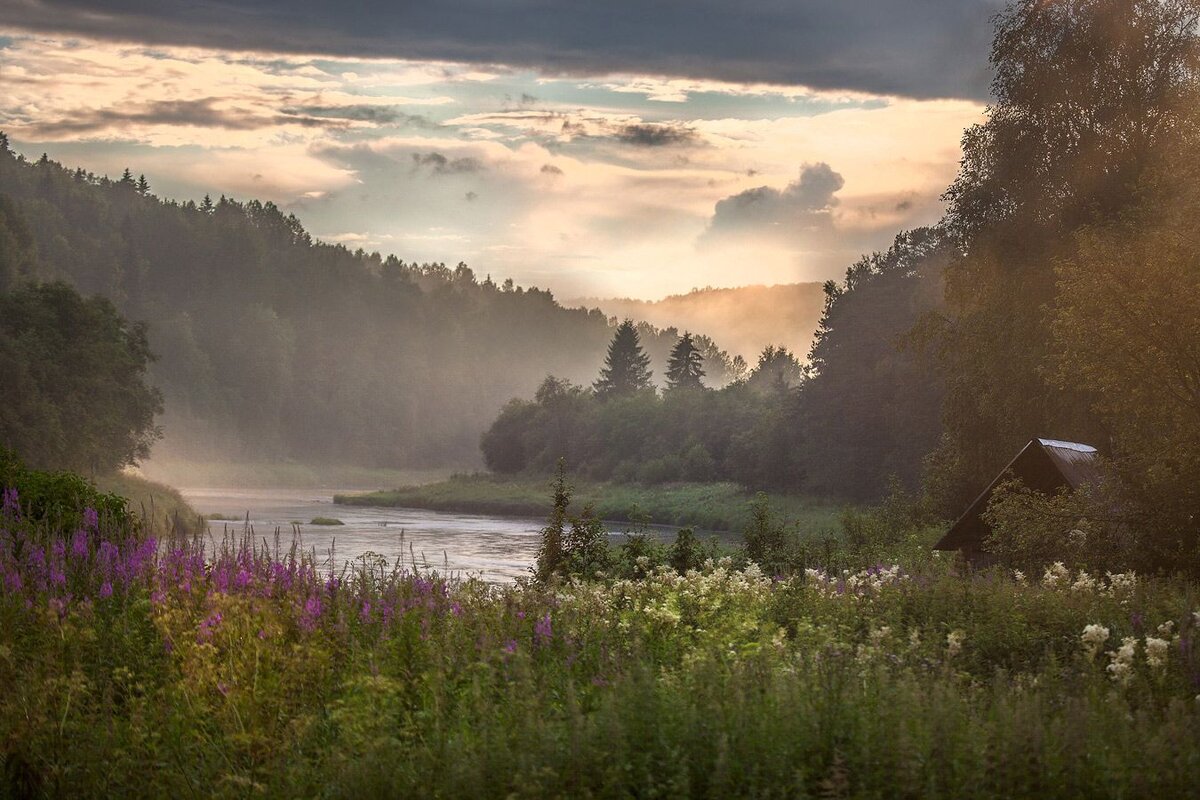 будем жить тихо и мирно