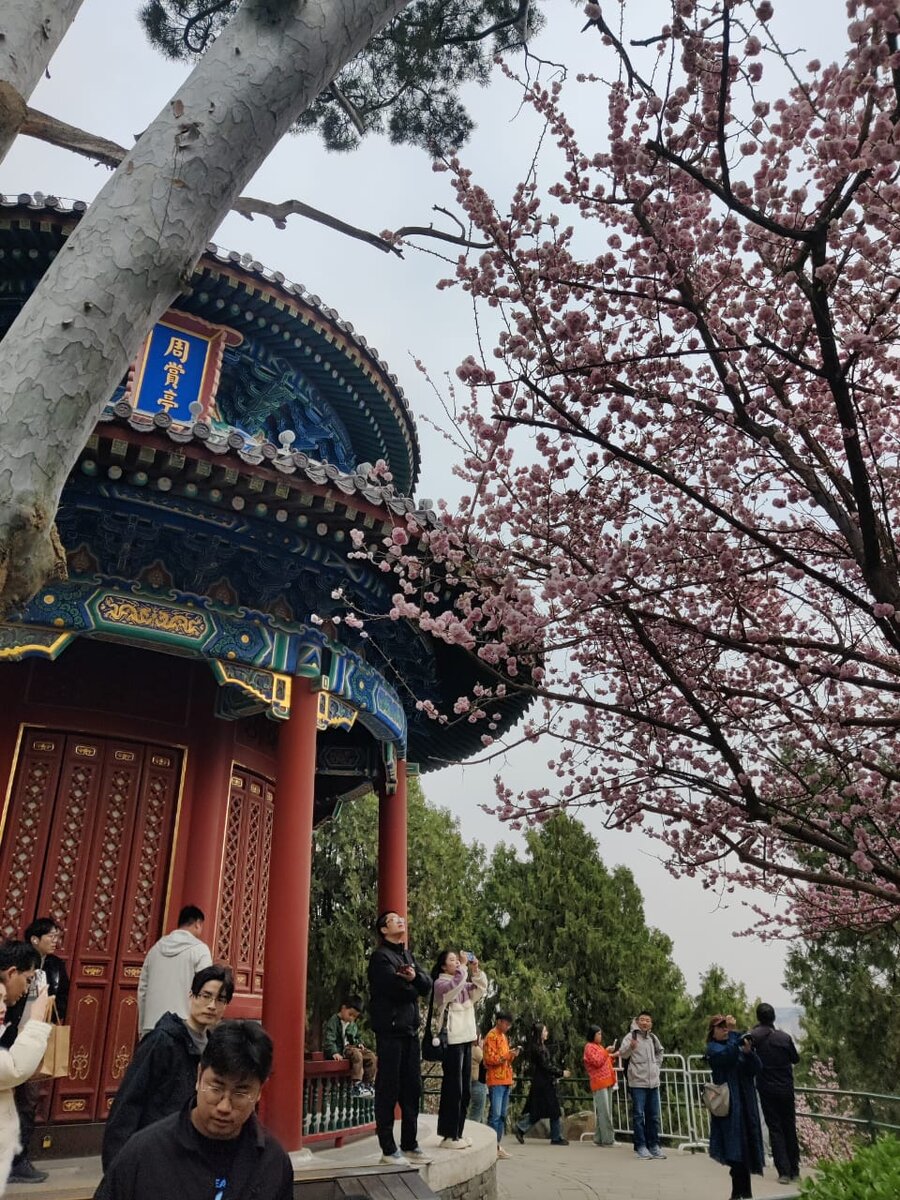 Jingshan Park