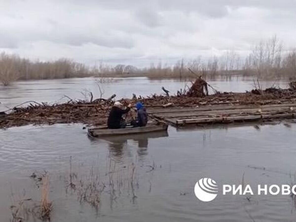    Мощное течение Тобола смыло и прибило к берегу понтонный мост в деревне под Курганом© РИА Новости