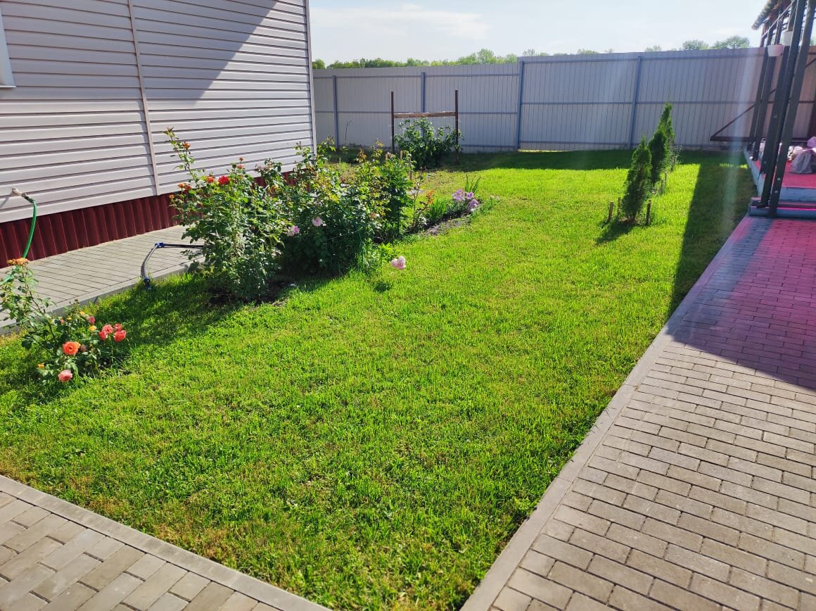 Газон на даче Михалыча. Иллюстрация. Фото автора. @ Горбунов Сергей