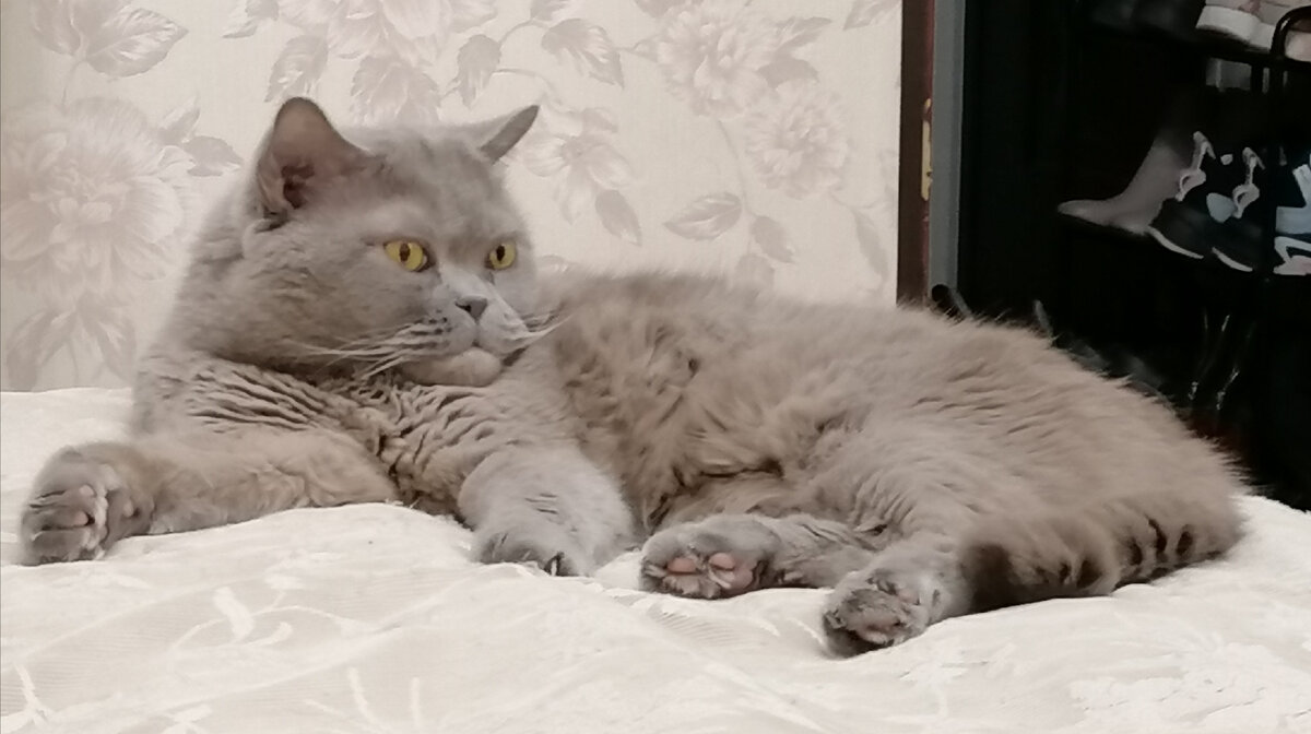 Приснится же такое!