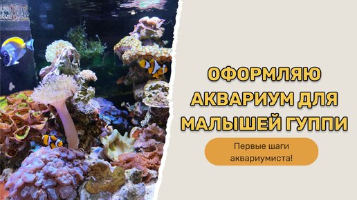 Первые шаги аквариумиста! Оформляю аквариум для малышей Гуппи. Скоро в нашей семье пополнение!!!