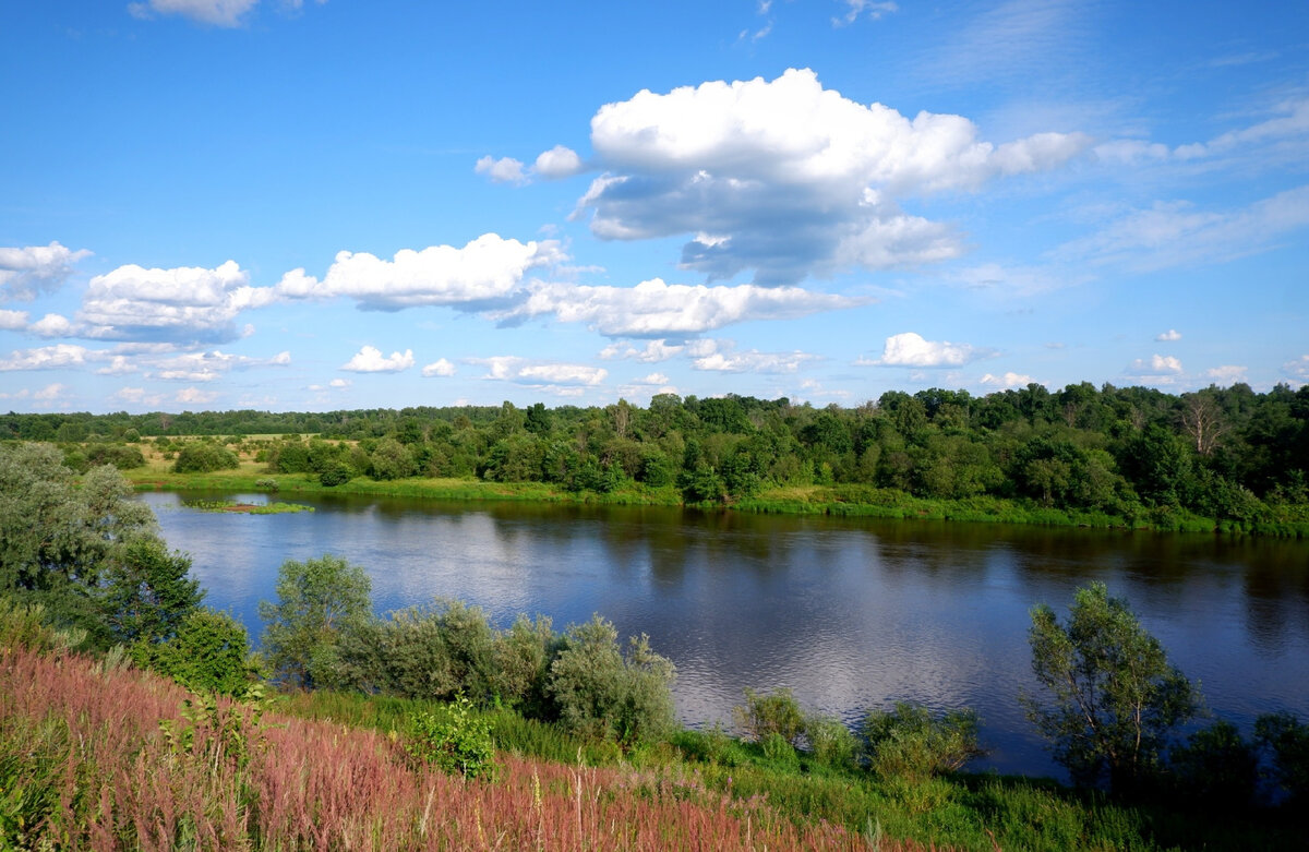 Клязьма в районе Осовца, древнерусской крепости XII века. Фото из Интернета