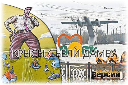    Крысы съели дамбу