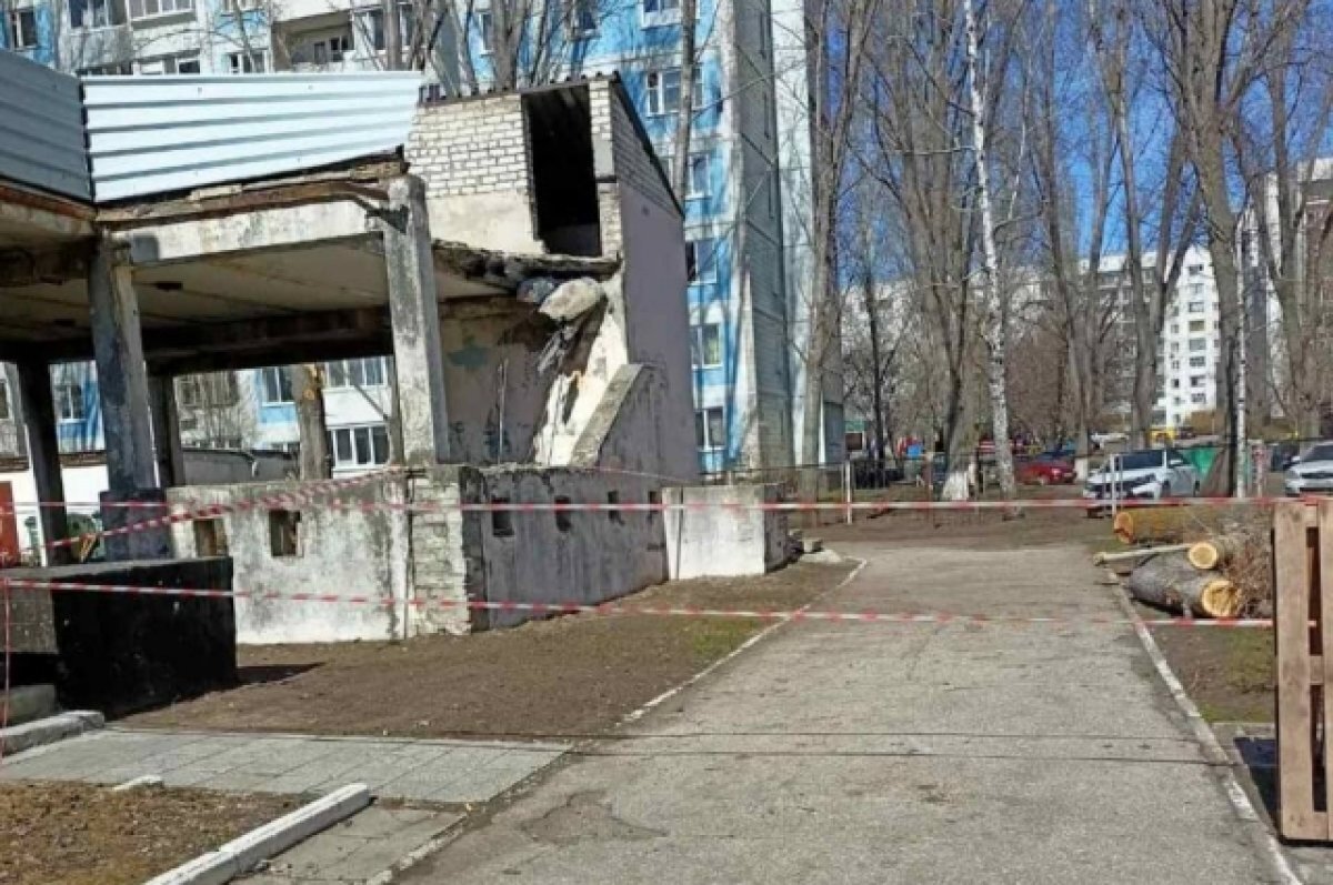    В Ульяновске упавшее дерево пробило крышу центра детского творчества