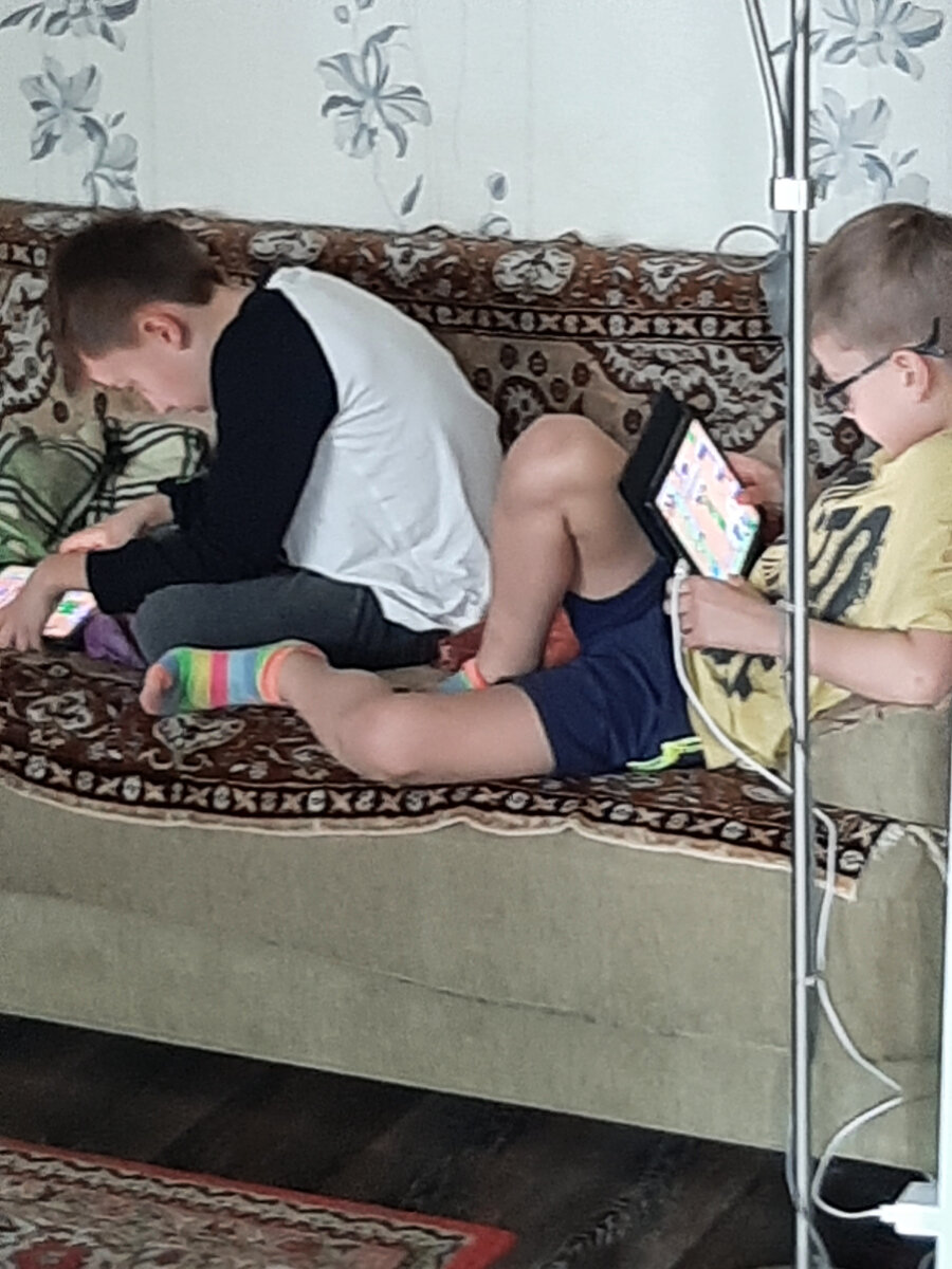 яблочки мои