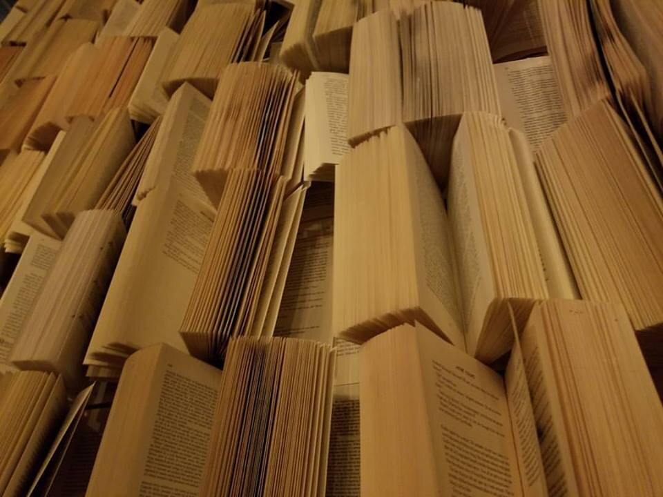 Время открывать книги, начинающие ведьмы!