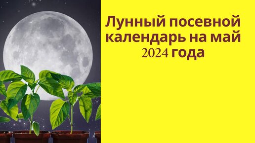 Лунный посевной календарь на май 2024 года