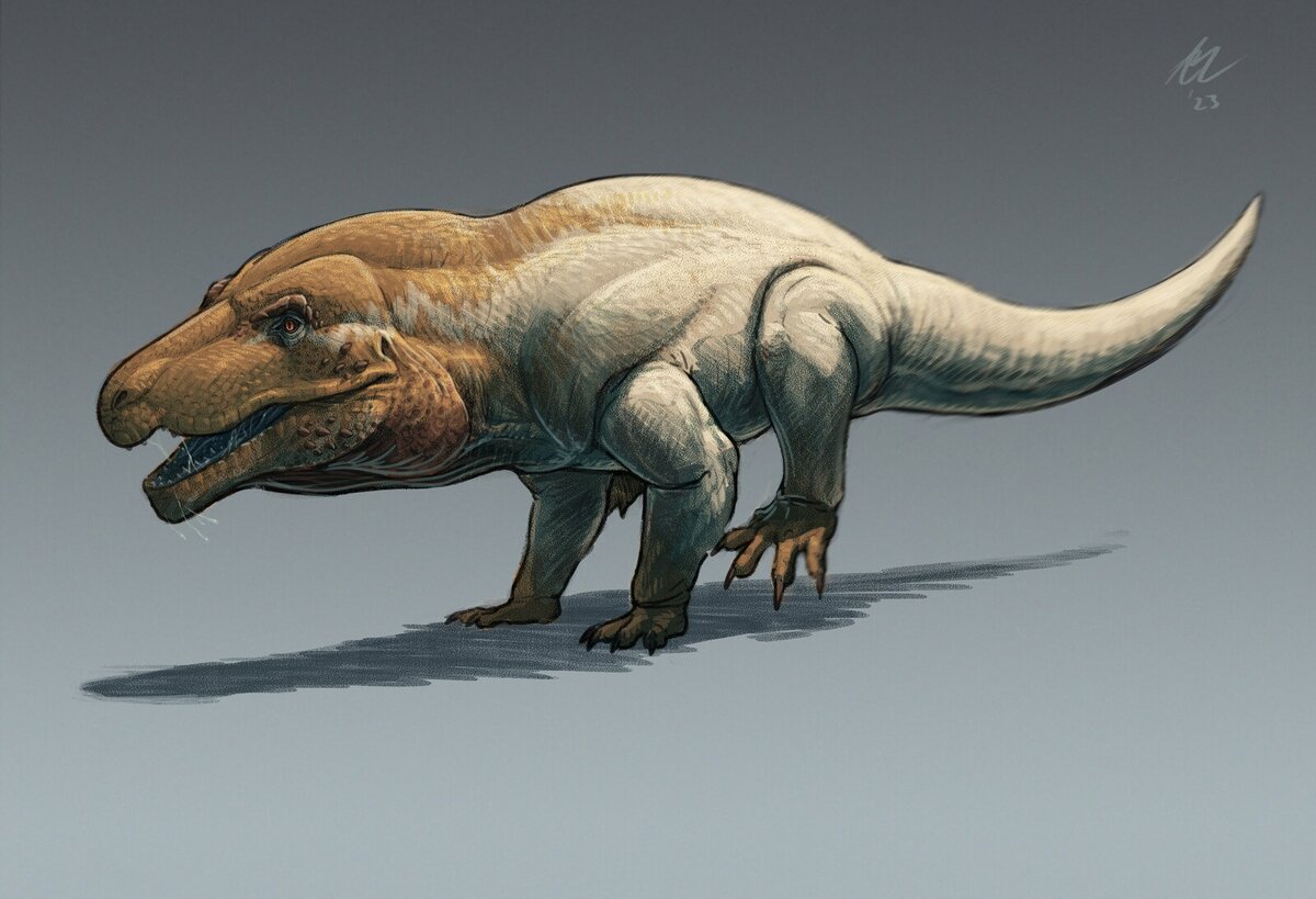 Тут уже угадывается морда тираннозавра.