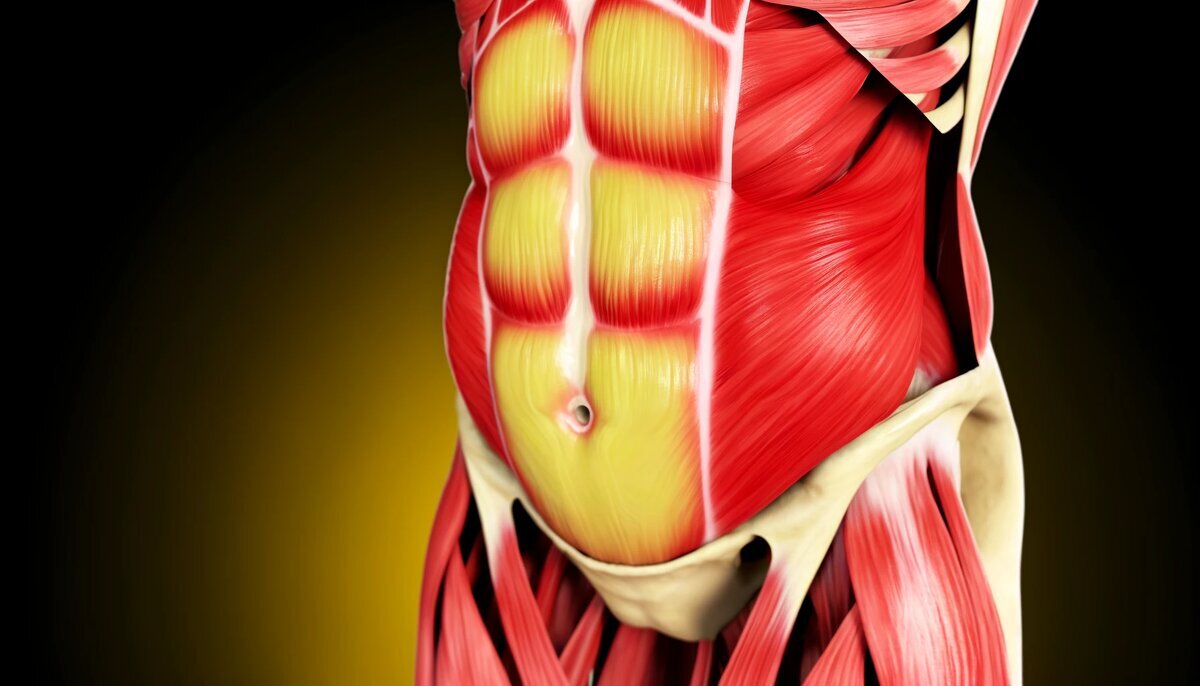 Добавьте описание