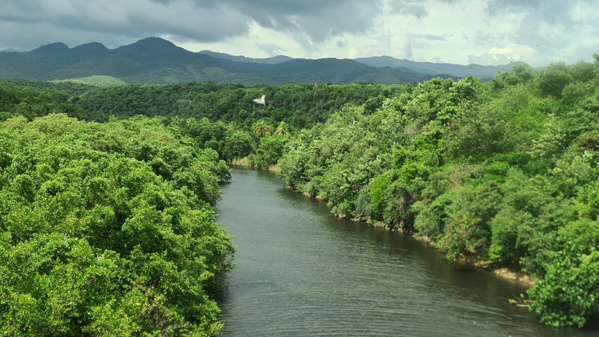 Природа, не тронутая человеком