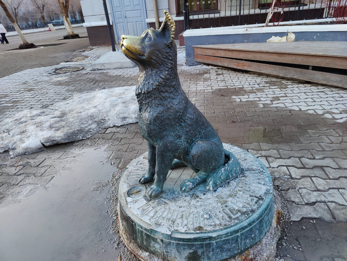 Собака копилка в Оренбурге 