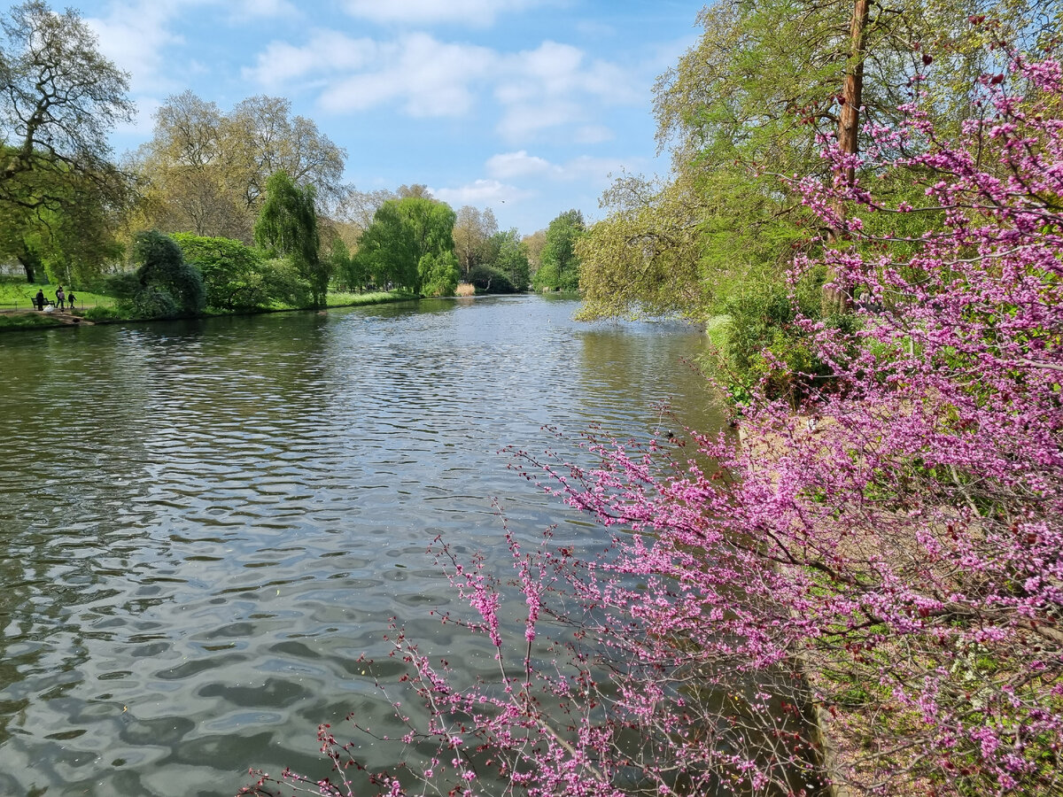 Сент-Джеймсский парк St James's Park