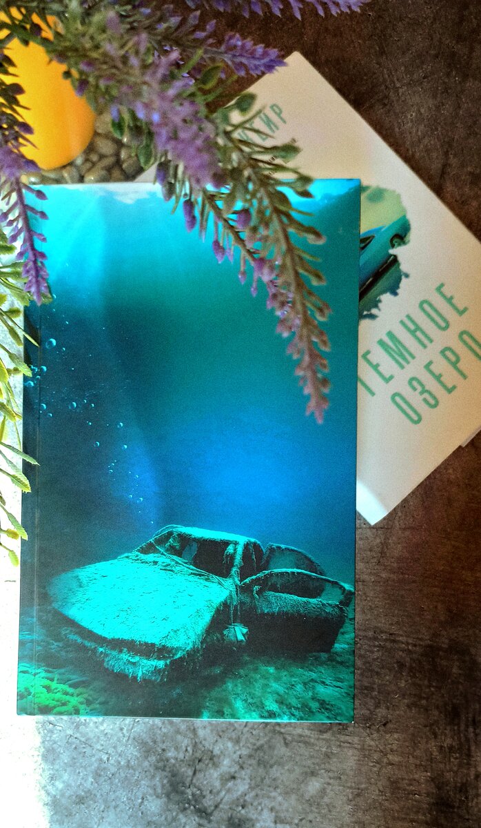 #темное#озеро#детективы#триллеры#зарубежная#литература#серия#белый#детектив