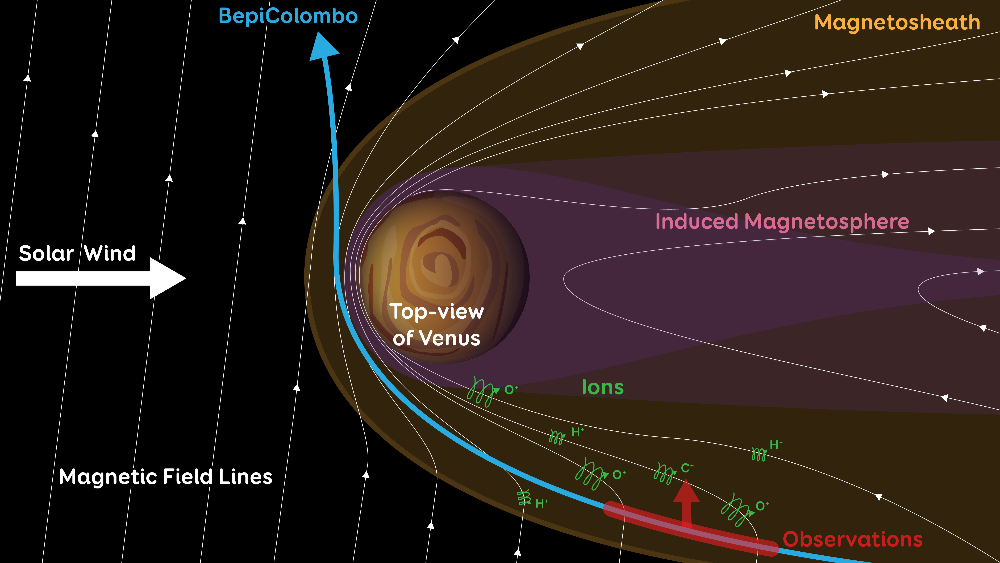    Фото: Thibaut Roger/Europlanet 2024 RI/Hadid et al. Схема магнитного поля вокруг Венеры и траектории пролета BepiColombo.