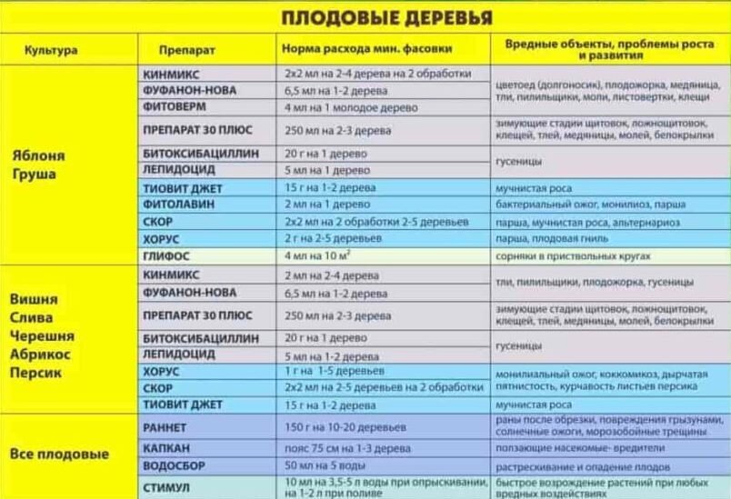 Обработка сада осенью. Семена алтая обработка сада весной от болезней. Семена алтая обработка сада весной от болезней. Весенняя обработка сада. Семена алтая обработка сада весной от болезней.