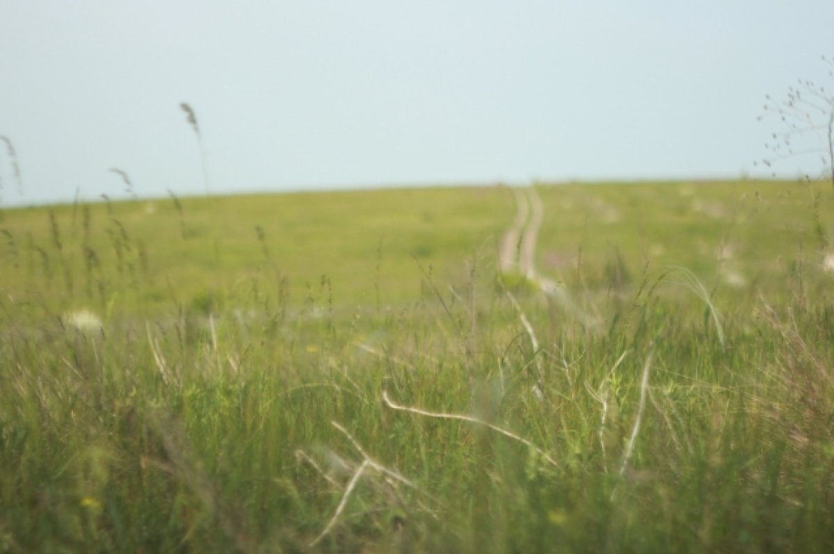    На Урал надвигается летняя жара