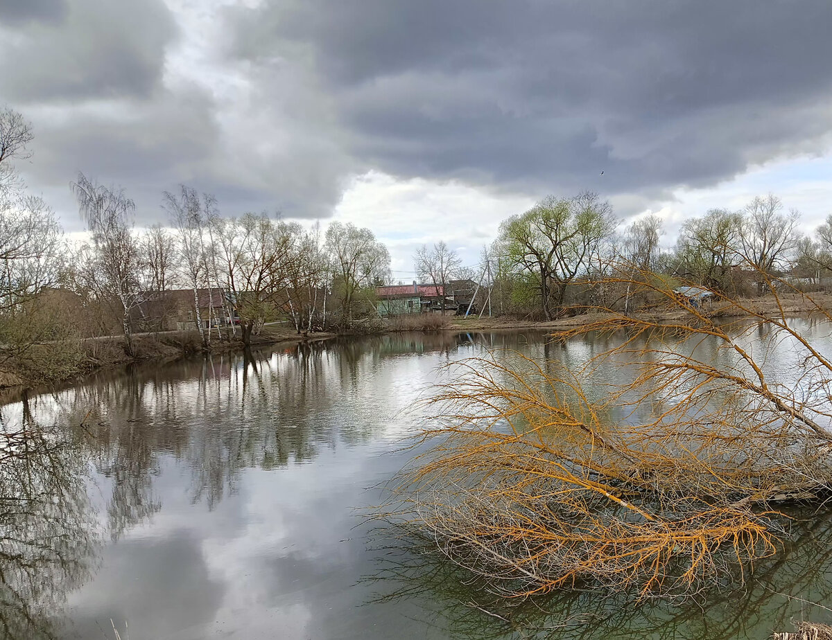 Пруд. Фото из личного архива