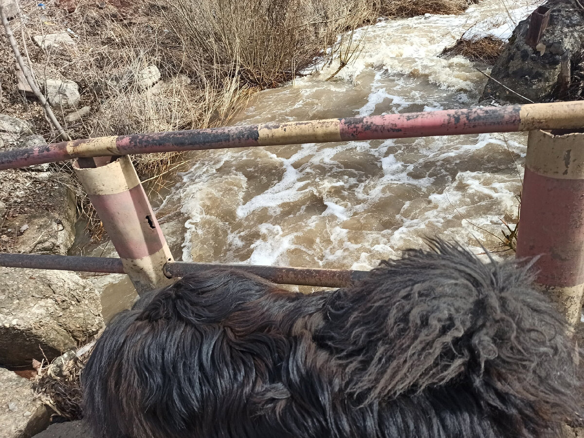 Просто горный поток, а не ручеек