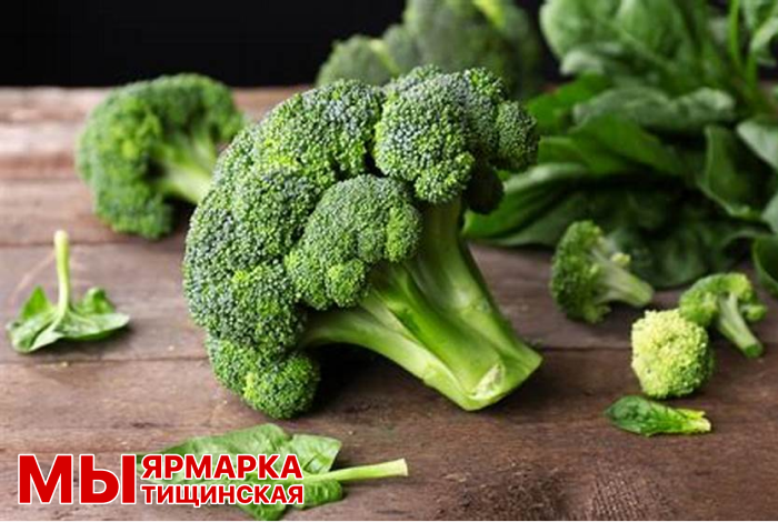 Брокколи, шпинат на Мытищинской ярмарке (рынке) 2024