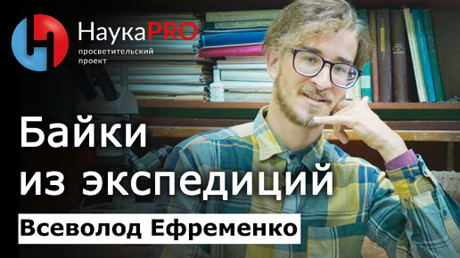 Интересные истории из жизни геологов – Всеволод Ефременко | Научпоп