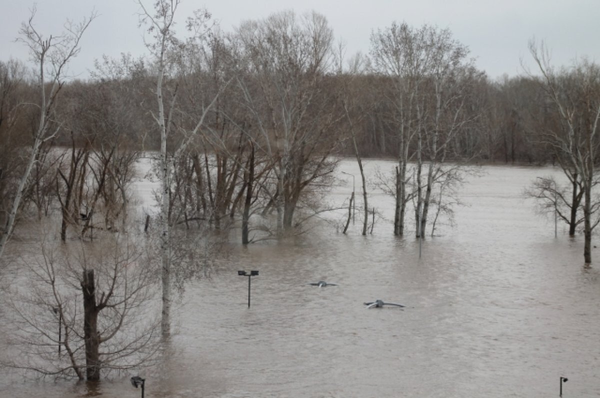    Уровень воды в Урале упал ещё на 2 сантиметра – до 1178 см