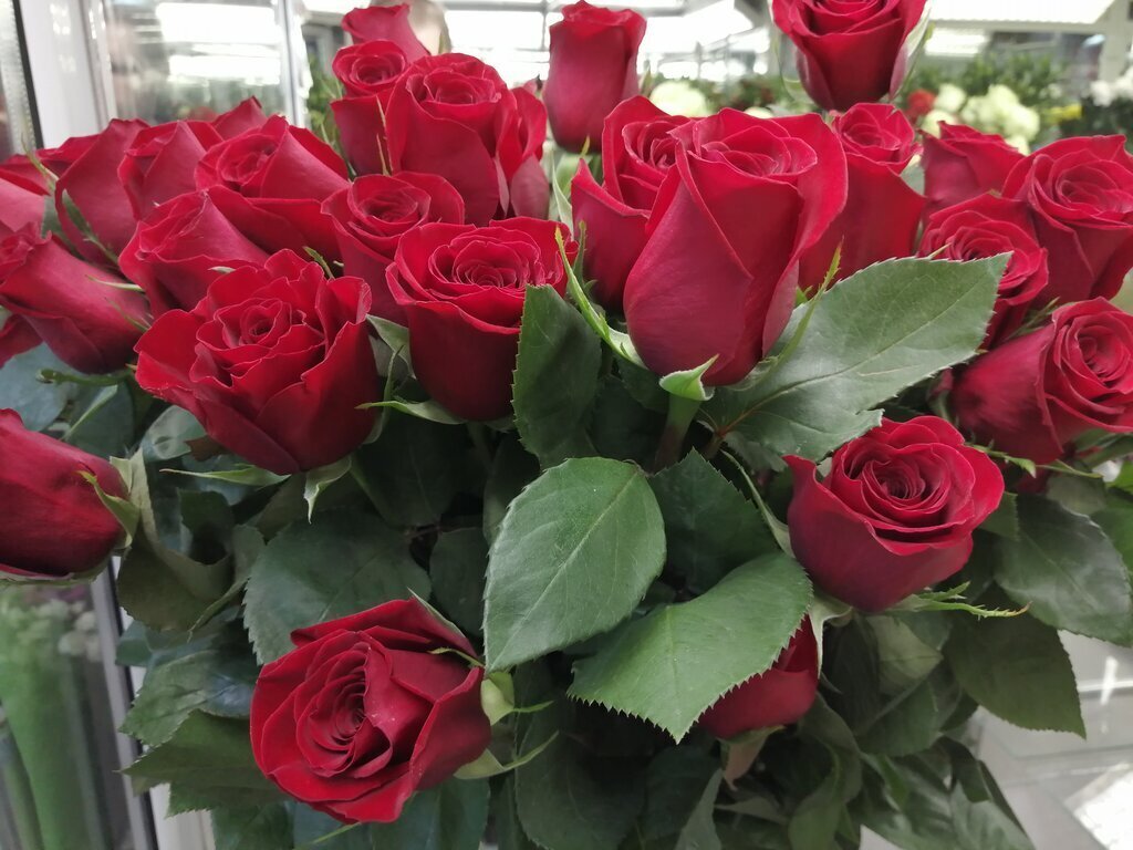 Фото из свободного доступа для иллюстрации