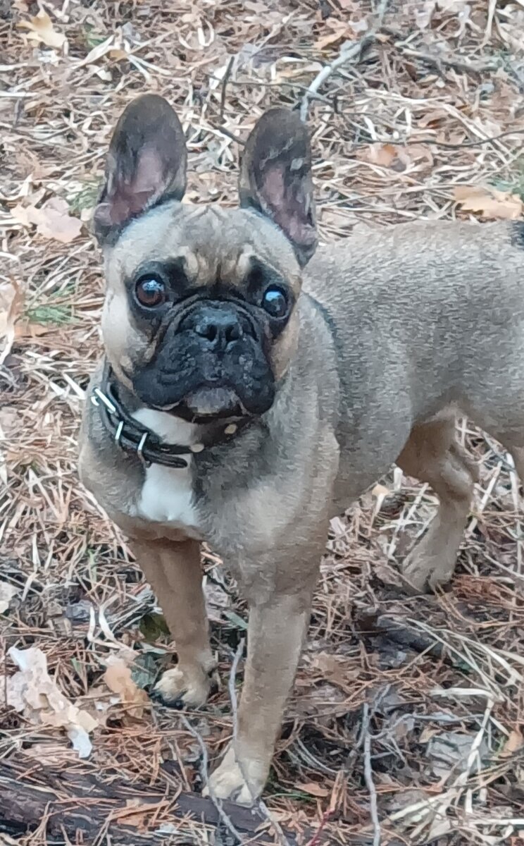 Ничего не понимаю!😄