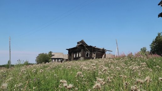 Костромская деревня затерянная в глубинке. Огромные дома