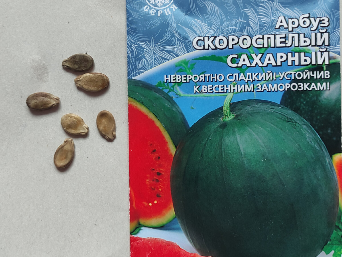 Семена арбуза 32р/пачка