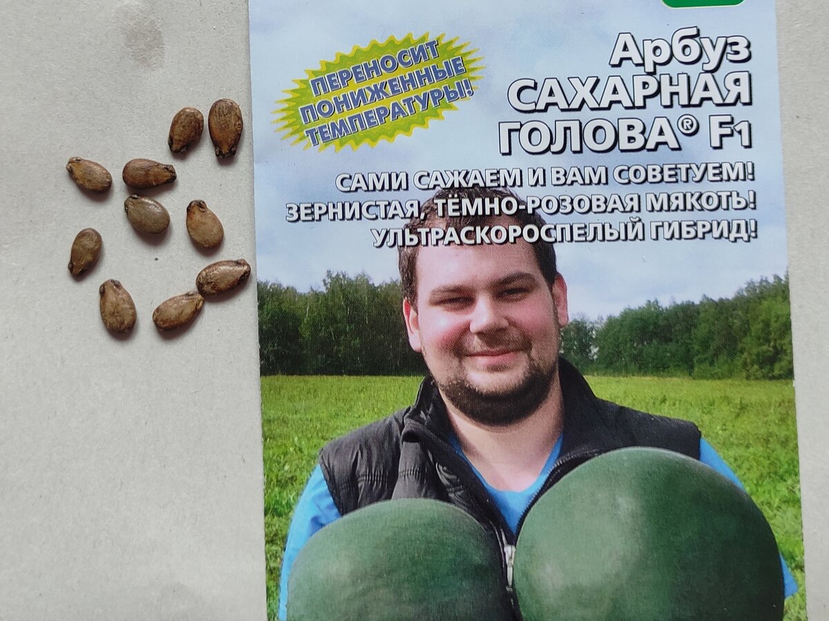Семена арбуза 36р/пачка