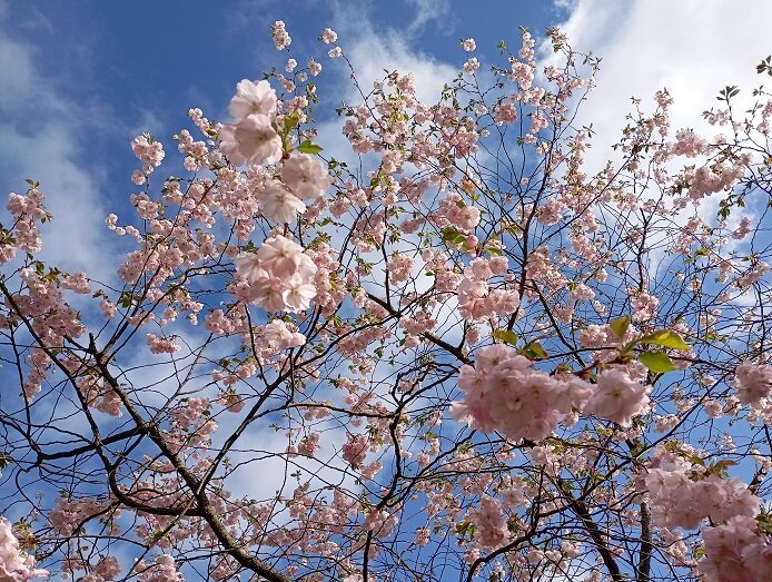 Рига, 13 апреля 2024