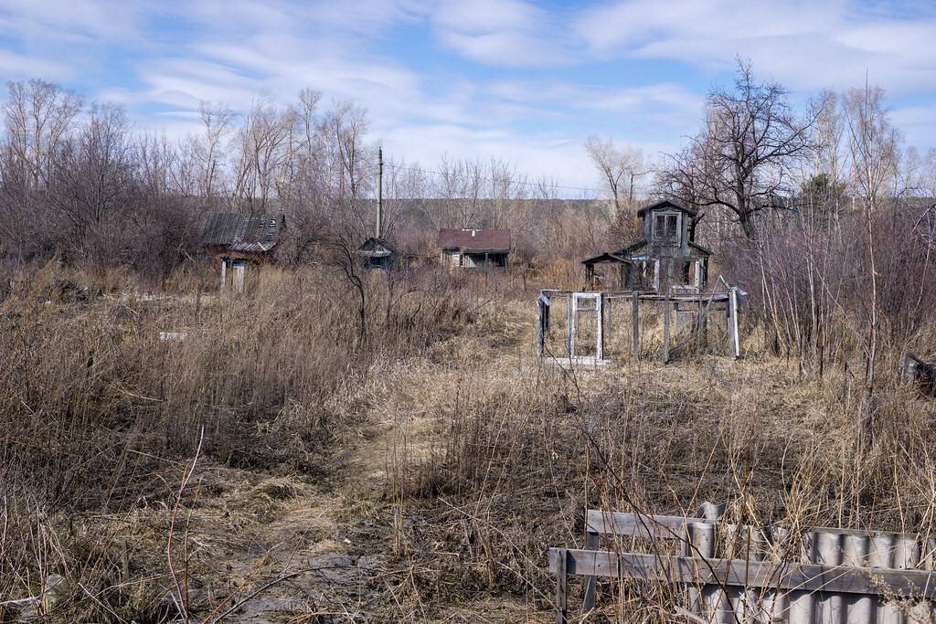 Заброшенные сады пермский край. Как получить заброшенный участок в собственность. Старая заброшенная дача. Как получить заброшенный участок в собственность. Заброшенный участок в снт.